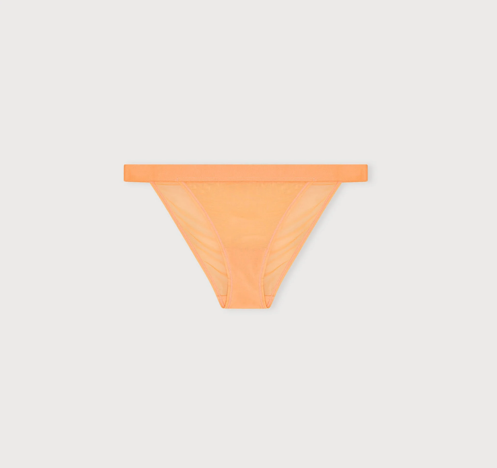 Mesh Tanga Briefs - Image 4